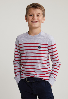 Striped T-shirt long sleeves grey/red