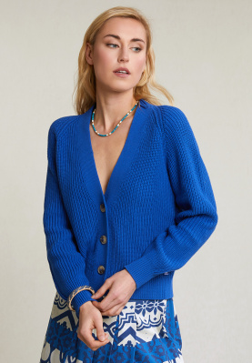 Blue buttoned V-neck cardigan long sleeves